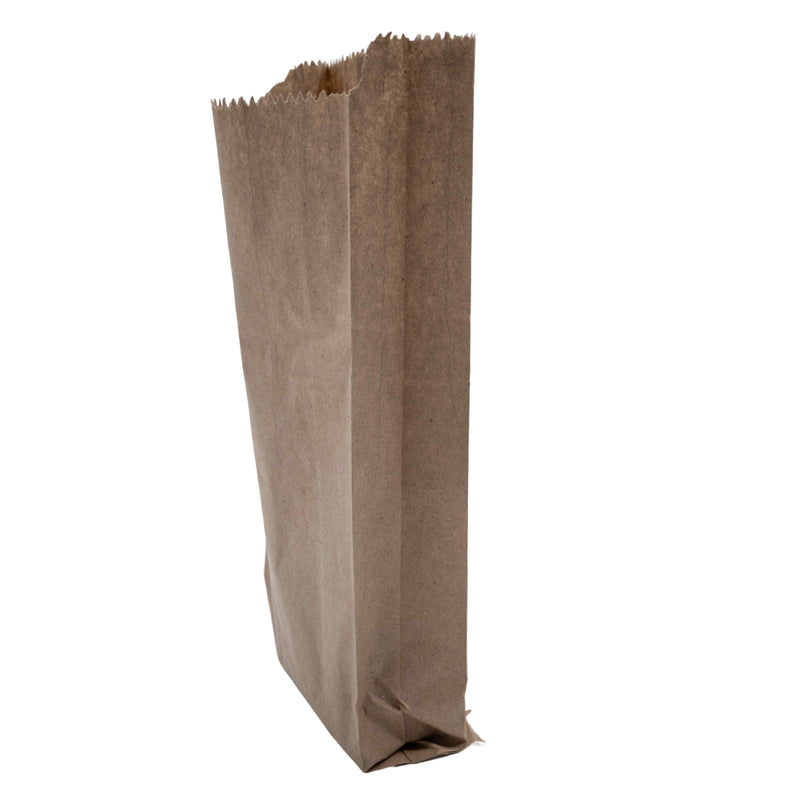 Bolsa De Papel Kraft Carton Base 29Cmx21Cm